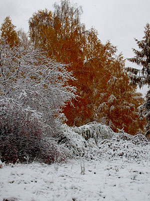 Первый снег в Академгородке (2006-10-04)