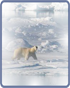 Exploration of the Russian Arctic Exhibition