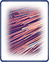 Photonics world Photonics