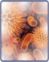Modern Virology Problems Cover