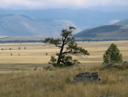 Легенды Плато Укок