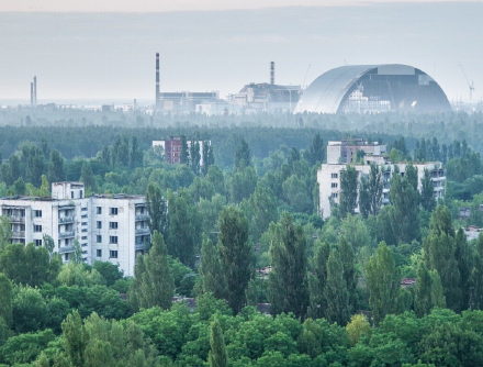 Тематические выставки